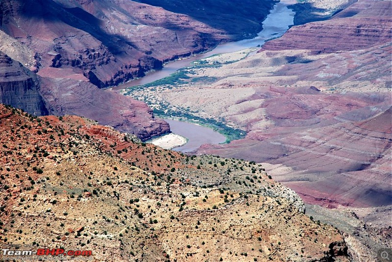 210 Horses around a River - The GRAND Canyon-dsc_0238-large.jpg