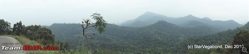 Story of a Vacation II : A page out of Jungle Book & experiencing God's Own Country-425-view-forests.jpg