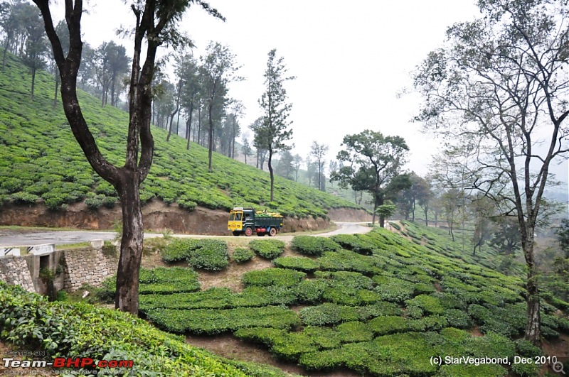Story of a Vacation II : A page out of Jungle Book & experiencing God's Own Country-447-truck-carrying-tea-leaves.jpg