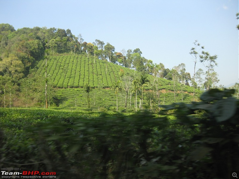 kerala mallus