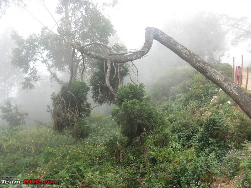 Chennai - Madurai - Alagar Kovil - Munnar - Thanjavur - Chennai-picture-866-fileminimizer.jpg