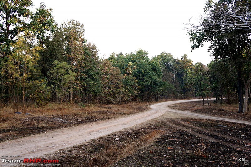 Reflections on Wildlife Addictions "Pench and Kanha National Park"-74.jpg