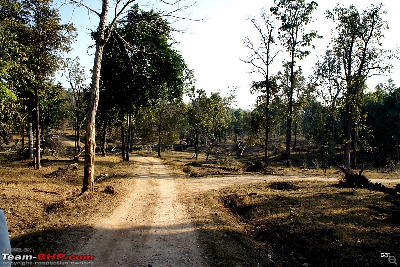 Reflections on Wildlife Addictions "Pench and Kanha National Park"-92.jpg