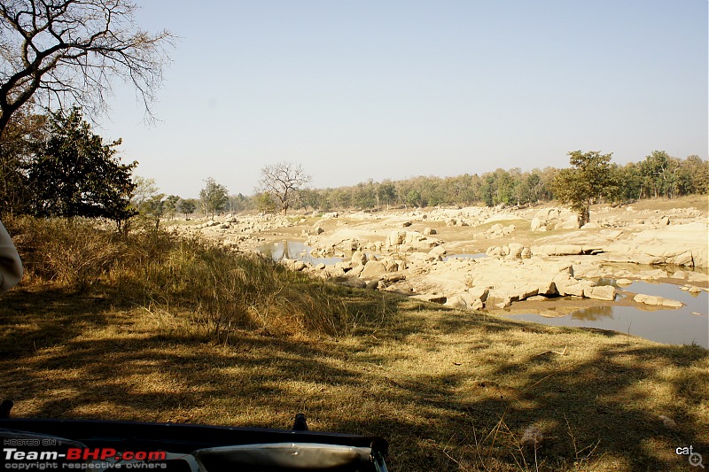 Reflections on Wildlife Addictions "Pench and Kanha National Park"-127.jpg