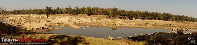 Reflections on Wildlife Addictions "Pench and Kanha National Park"-135.jpg