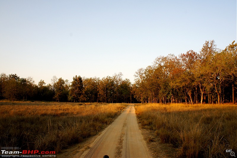 Reflections on Wildlife Addictions "Pench and Kanha National Park"-13.jpg
