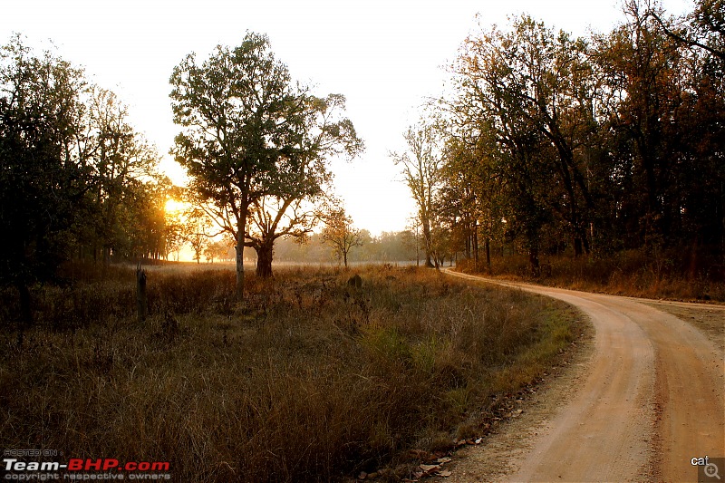 Reflections on Wildlife Addictions "Pench and Kanha National Park"-14.jpg
