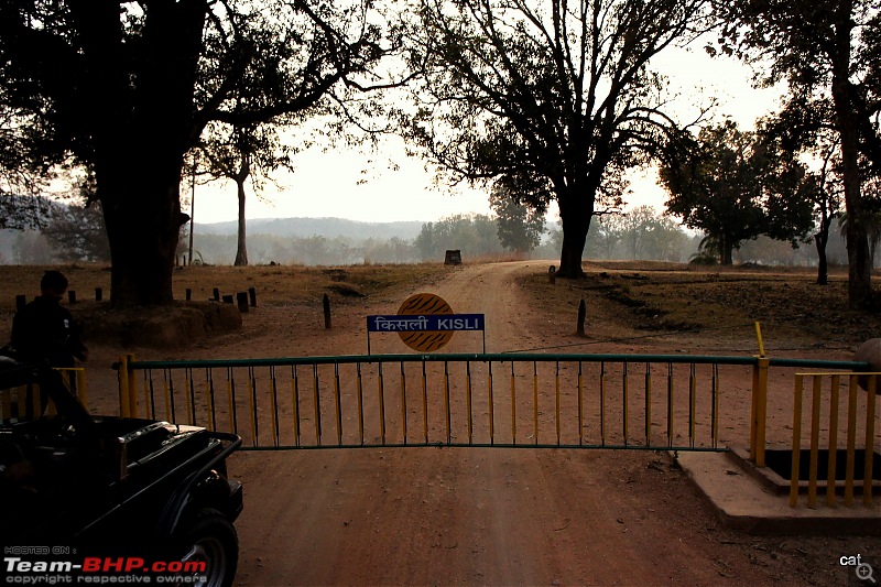 Reflections on Wildlife Addictions "Pench and Kanha National Park"-19.jpg