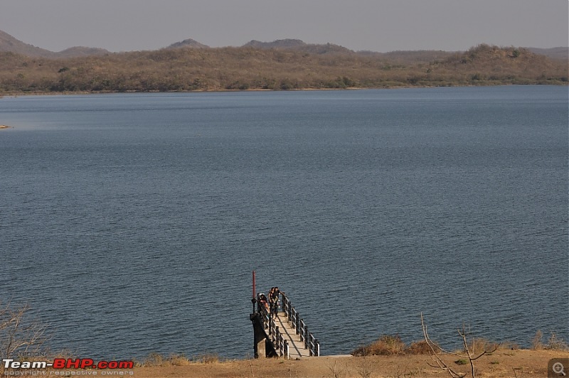 Sasan Gir  The Last Home to Asiatic Lion-girnp-137.jpg