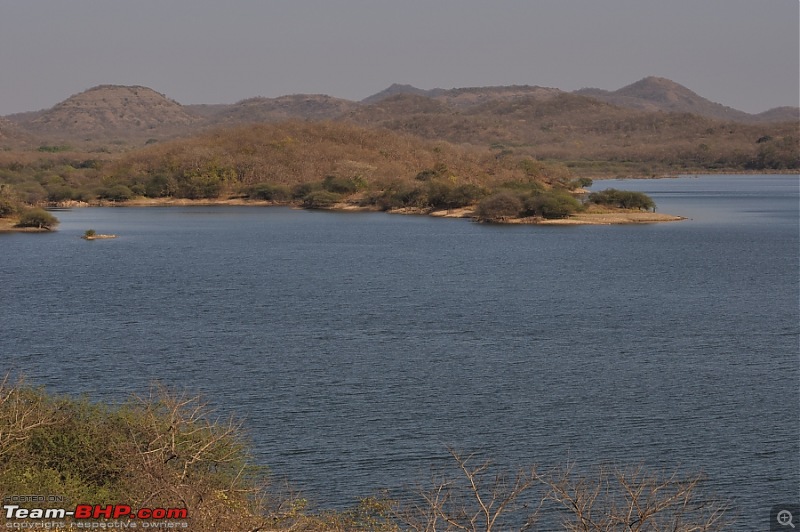 Sasan Gir  The Last Home to Asiatic Lion-girnp-140.jpg