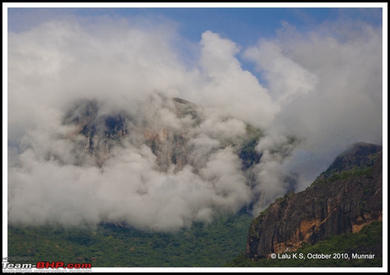 Civved : Kodaikanal, Munnar-_dsc4000p.jpg