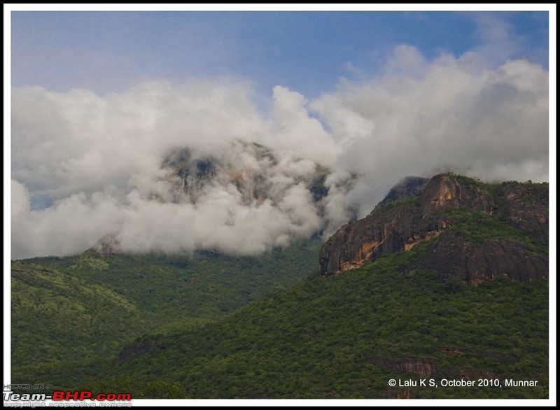 Civved : Kodaikanal, Munnar-_dsc4001p.jpg