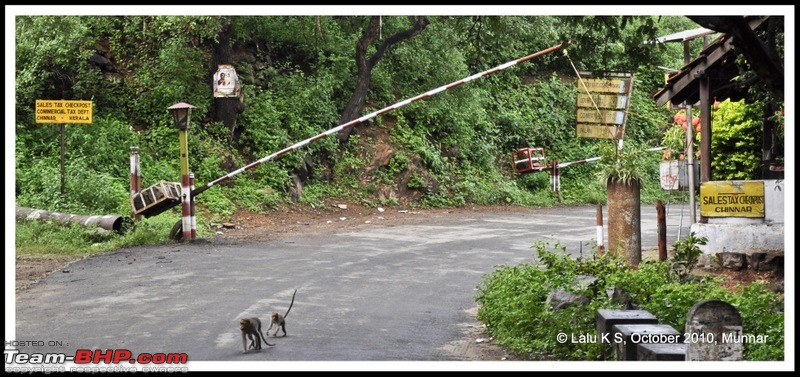 Civved : Kodaikanal, Munnar-_dsc4096p.jpg