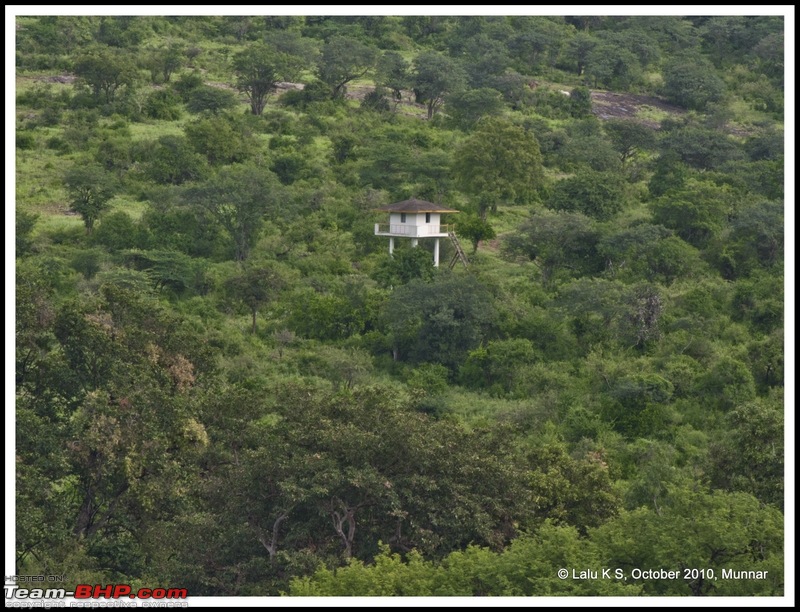 Civved : Kodaikanal, Munnar-_dsc4038p.jpg