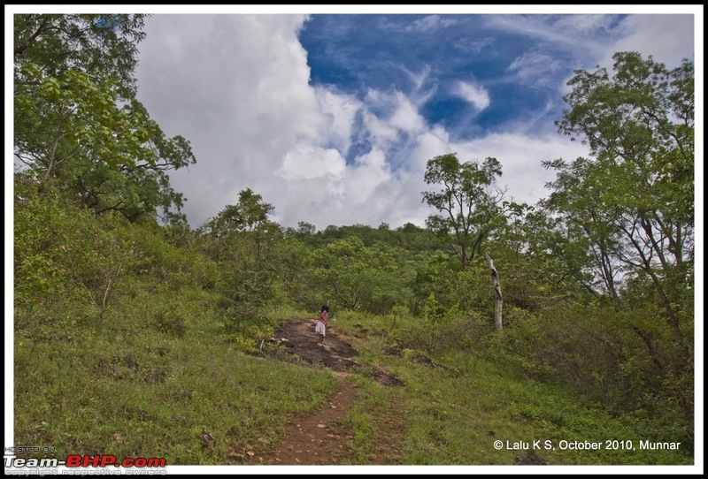 Civved : Kodaikanal, Munnar-_dsc4133p.jpg