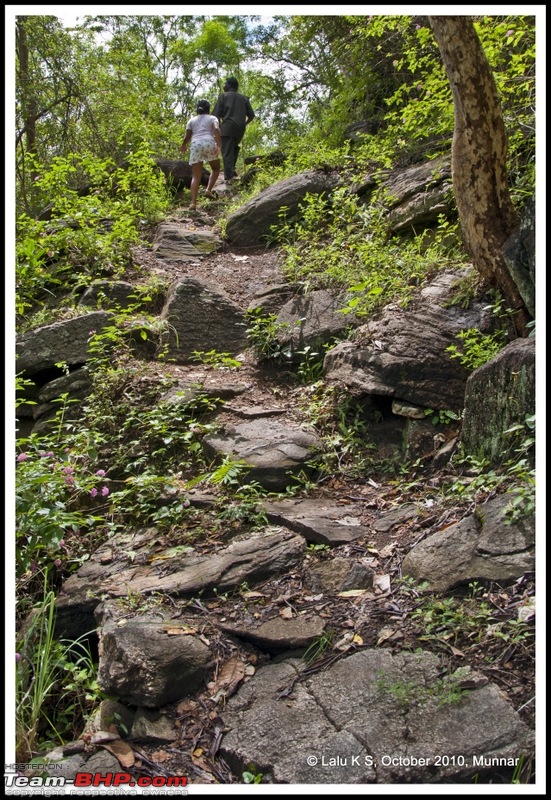 Civved : Kodaikanal, Munnar-_dsc4149p.jpg