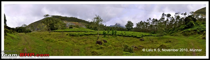 Civved : Kodaikanal, Munnar-_dsc4679p.jpg