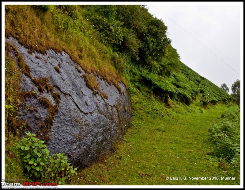 Civved : Kodaikanal, Munnar-_dsc4690p.jpg