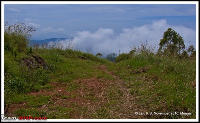 Civved : Kodaikanal, Munnar-_dsc4714p.jpg