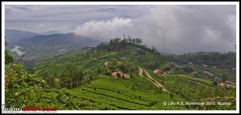 Civved : Kodaikanal, Munnar-_dsc4723p.jpg