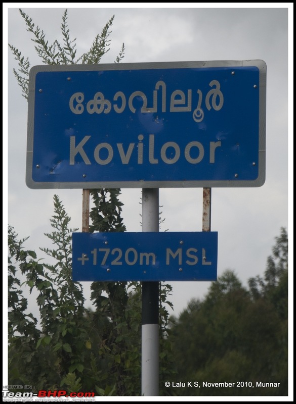 Civved : Kodaikanal, Munnar-_dsc4861p.jpg