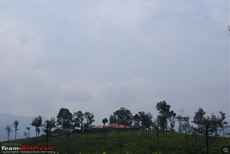 Bangalore Munnar Kodaikanal Valparai - 10 days of bliss-zgad.jpg