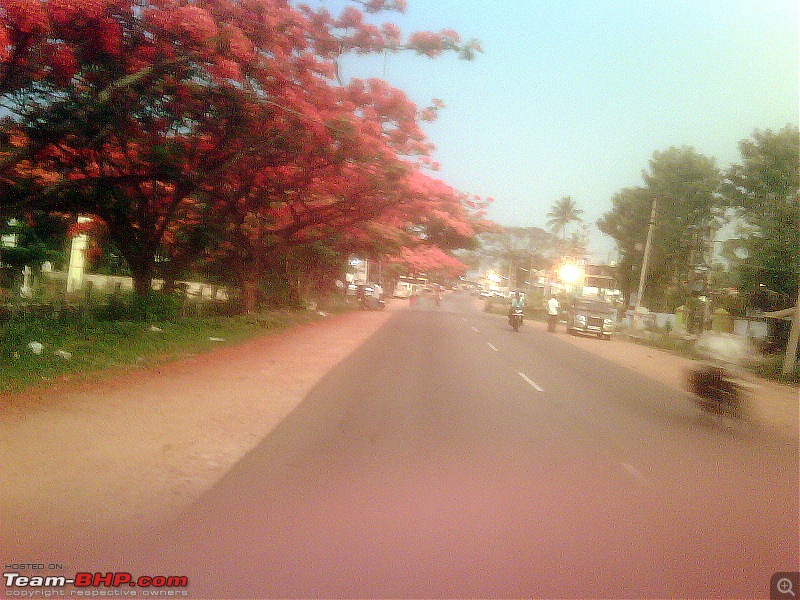 Faujis Drivologues  Chasing Mango showers in WAYANAD and MALNAD!-gul.jpg