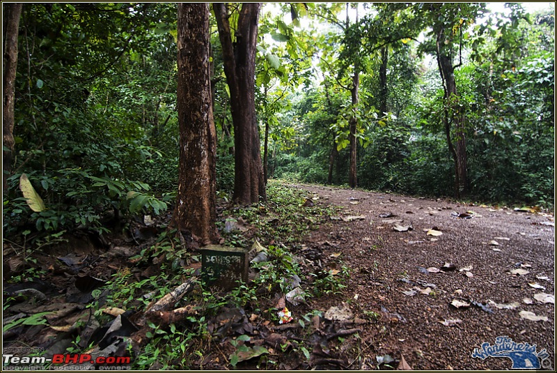 Orissa's Unknown Forests [Kolkata-Kuldia-Satkosia-Bangriposi-Kolkata ...