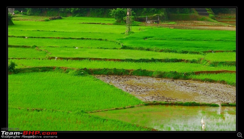 2011 Monsoon Trips : Romancing the rains. Postcards from the Konkan & deccan plateau-p1030428.jpg