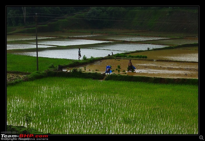 2011 Monsoon Trips : Romancing the rains. Postcards from the Konkan & deccan plateau-p1030426.jpg