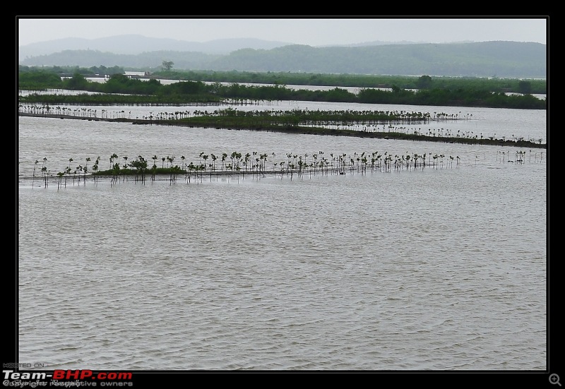 2011 Monsoon Trips : Romancing the rains. Postcards from the Konkan & deccan plateau-p1030430.jpg