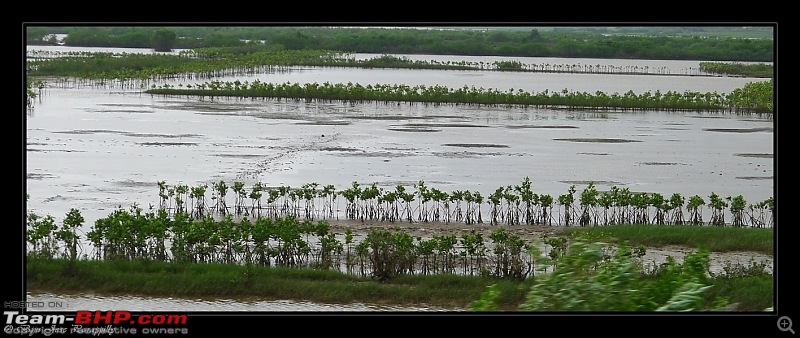 2011 Monsoon Trips : Romancing the rains. Postcards from the Konkan & deccan plateau-p1030432.jpg