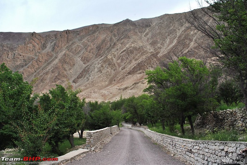 Ladakh & Zanskar: The road(s) less travelled-dsc_0526.jpg