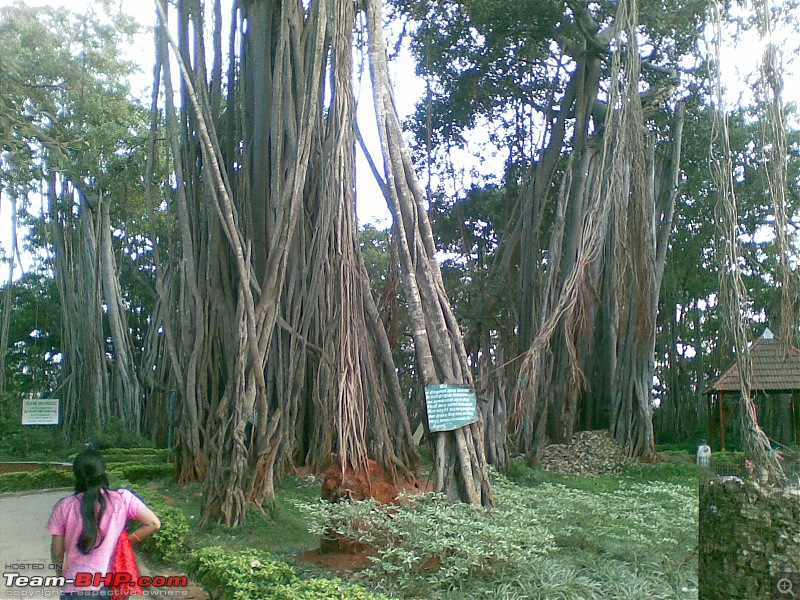 Drive to Big Banyan Tree, near Bangalore-25122008023.jpg