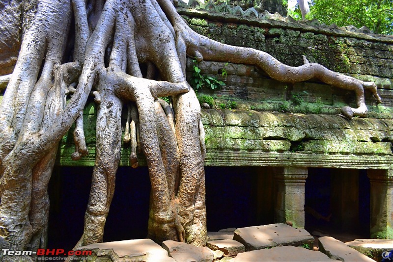 Kingdom of Wonder - Cambodia; Enthralling Hidden Charms !-dsc_1756.jpg