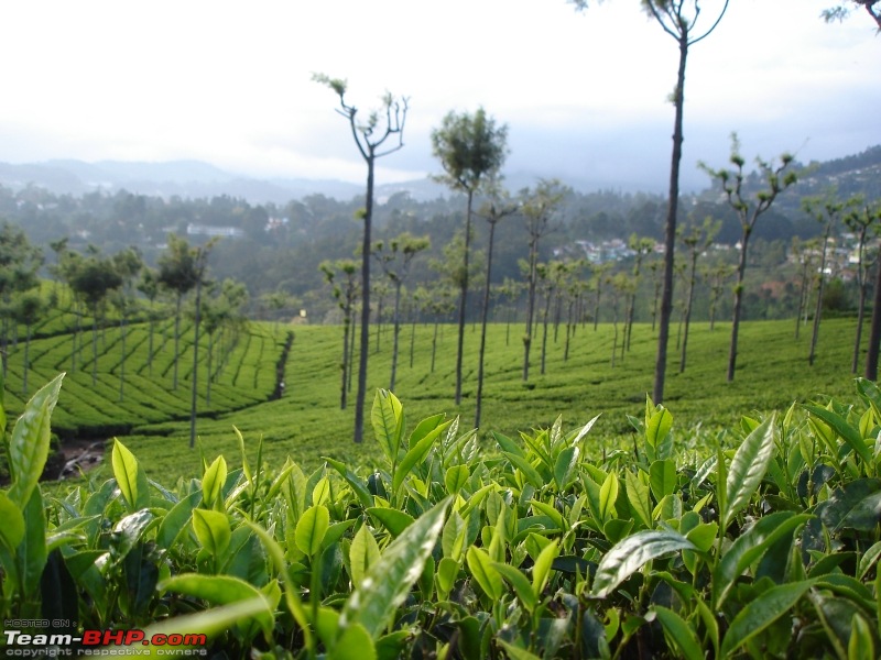 Bangalore - Ooty/Coonoor in Swift D-dsc05924.jpg