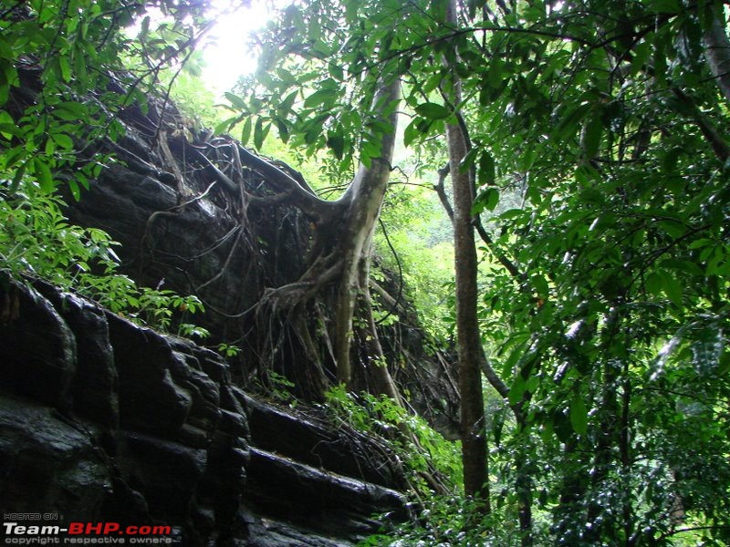 Magnificent Meenmutti & Misty Ponmudi-12.jpg