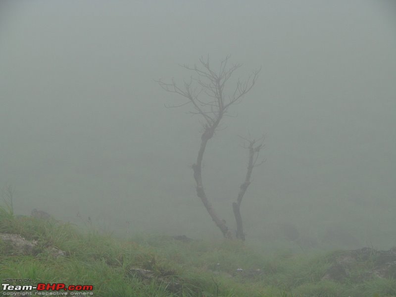 Magnificent Meenmutti & Misty Ponmudi-11.jpg