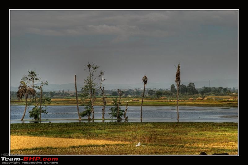 Travelogue : Chikmagalur and Kemmungundi was my destination this time ...-dsc_0358-medium.jpg