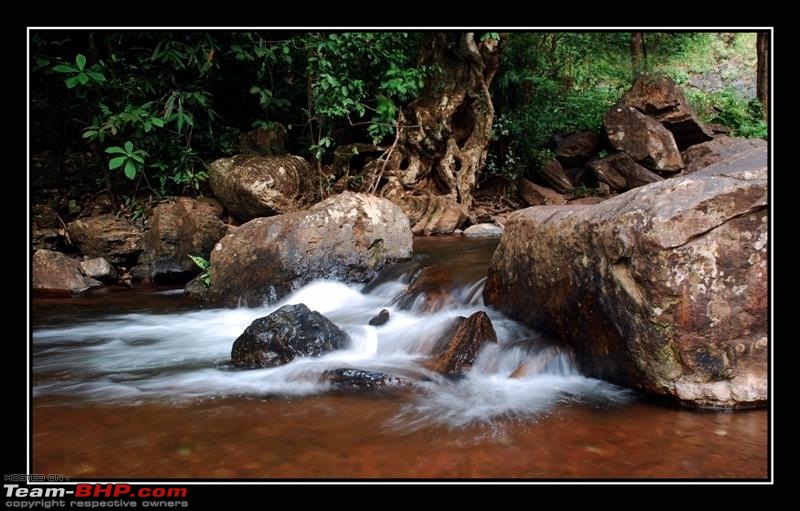 Travelogue : Chikmagalur and Kemmungundi was my destination this time ...-dsc_0130-medium.jpg