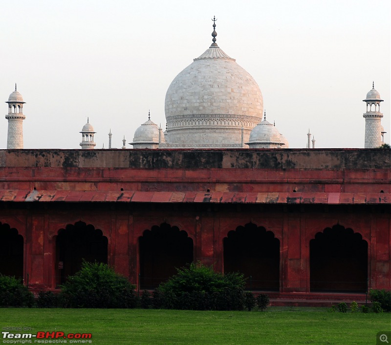 Just The Taj - Delhi - Agra - Delhi-5174.jpg