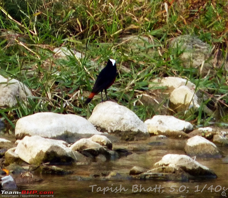 Travelogue: Weekend Getaway - Kasauli-p1060132.jpg