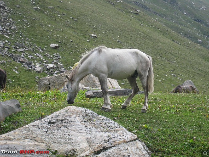 HumbLeh'd II (Indo Polish Himalayan Expedition to Ladakh & Himachal Pradesh)-img_7581.jpg