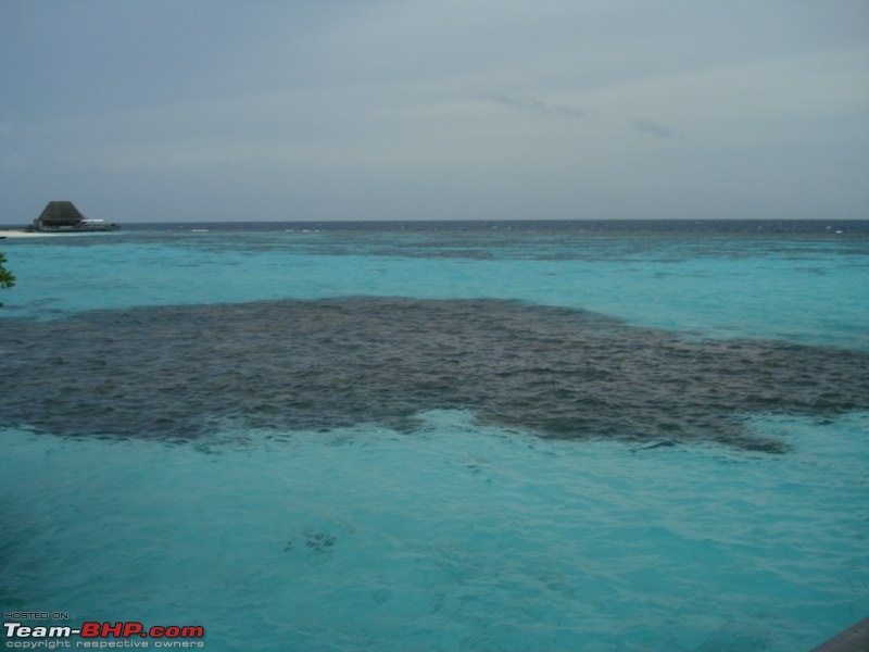 Maldives Ahoy... A Picturelogue !!!-dsc01582-800x600.jpg
