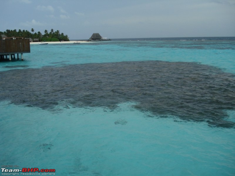 Maldives Ahoy... A Picturelogue !!!-dsc01583-800x600.jpg