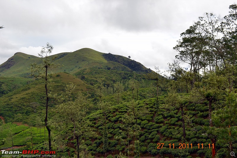 Fauji's Drivologues - Unwinding in wonderful Wayanad over the weekend!-dsc_0383.jpg