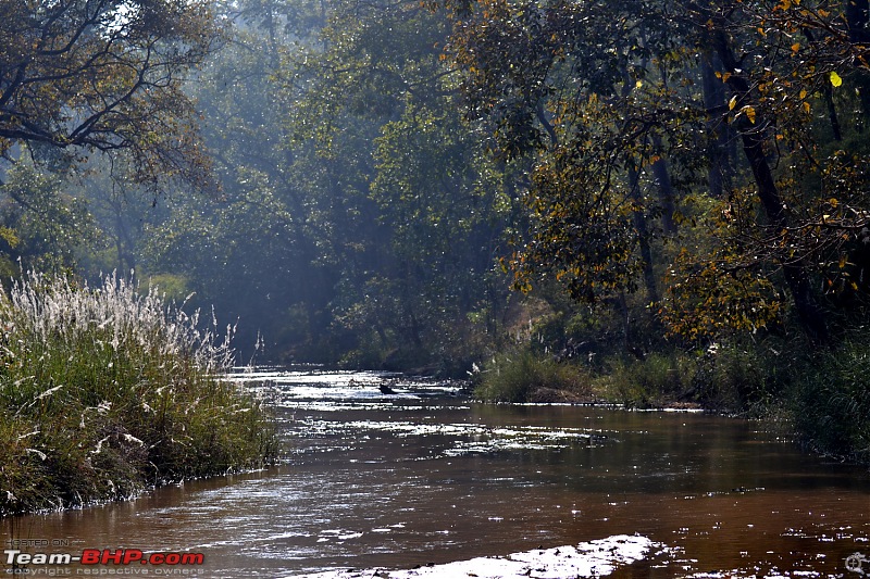 Fauji's Drivologues - Christmas in Wintry Wilderness and New Year on Sunny sands!-dsc_0742.jpg