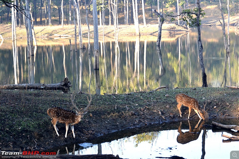 Fauji's Drivologues - Christmas in Wintry Wilderness and New Year on Sunny sands!-dsc_0970.jpg