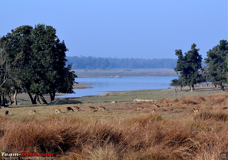 Fauji's Drivologues - Christmas in Wintry Wilderness and New Year on Sunny sands!-dsc_0980.jpg