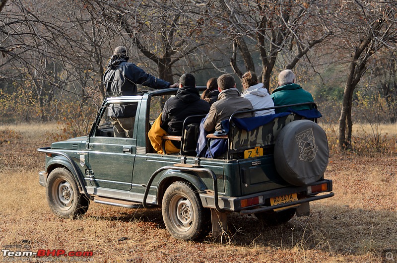 Ranthambore National Park: A Quick Travelogue-dsc_4072.jpg